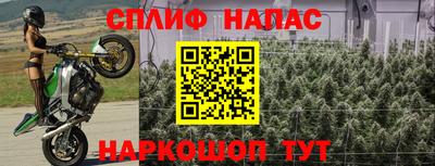 дурь Будённовск